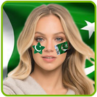 Pakistan Flag Stickers icône