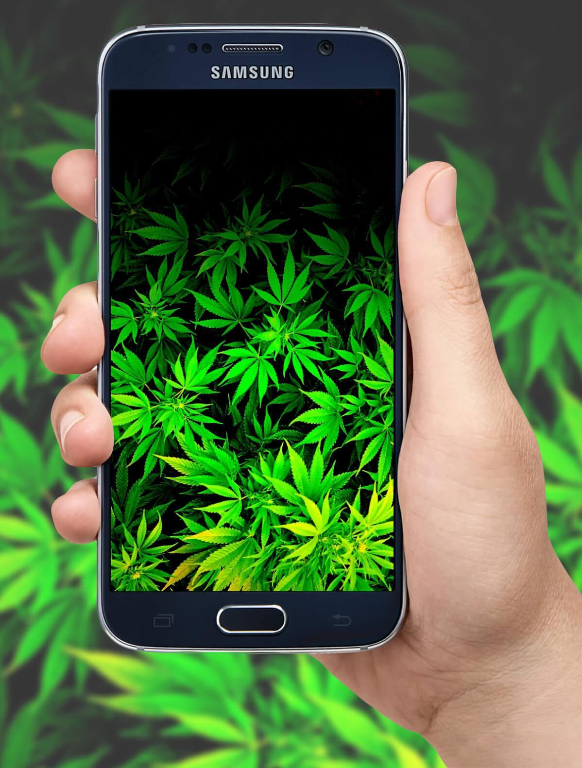 420 Stoner Wallpapers APK for Android Download 420 Stoner Wallpapers APK for Android Download