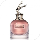 العطور النسائية الشامل biểu tượng