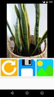 rotate pictures ภาพหน้าจอ 1