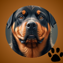 Rottweiler Wallpaper APK