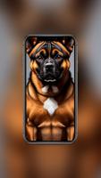 Rottweiler Wallpaper 截圖 3