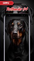 Rottweiler Wallpaper ảnh chụp màn hình 3