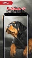 Rottweiler Wallpaper Plakat