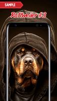 Rottweiler Wallpaper ภาพหน้าจอ 2