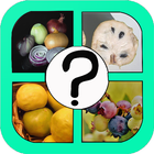 Vegetables and fruits Quiz icône