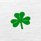 Sully's icon