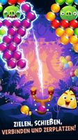 Angry Birds POP Bubble Shooter Plakat