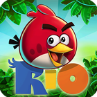 Angry Birds-icoon