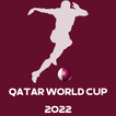 GO QATAR 2022