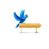 Birds information иконка