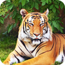 Royal Tiger Wallpaper HD APK