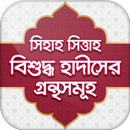 বুখারী~মুসলিম~সিহাহ সিত্তাহ APK