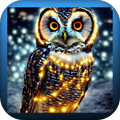 Owl Wallpapers 4K