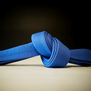 Brazilian Jiu Jitsu Blue Belt Requirements 2.0 APK
