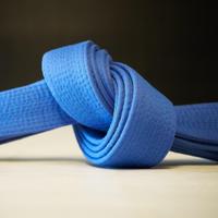 BJJ Blue Belt Requirements 2.0 poster