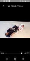 BJJ Blue Belt Requirements 2.0 screenshot 2