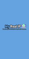 My IP - Real IP Address, IPv4 imagem de tela 3