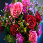 Wallpaper Flowers FULL HD icon