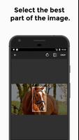 3 Schermata Horses Wallpaper FULL HD