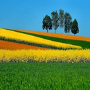 Landscapes Wallpaper FULL HD APK