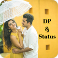 DP Status