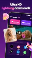 DownvidPro Cartaz