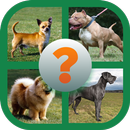 Animals Dogs coloring ( All Dogs names  pictures ) APK