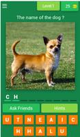 Animals Dogs coloring ( All Dogs names  pictures ) ポスター