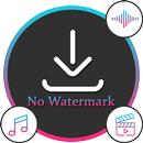 Video Downloader Without Watermark New 2020 APK