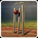 Cricket Expert Predictions APK