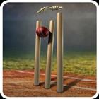 Cricket Expert Predictions icon