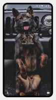 German Shepherd Dog Wallpapers screenshot 2