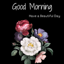 Good Morning Blessing Images APK