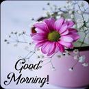 Good Morning Flower Wishes APK
