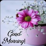 Good Morning Flower Wishes icon