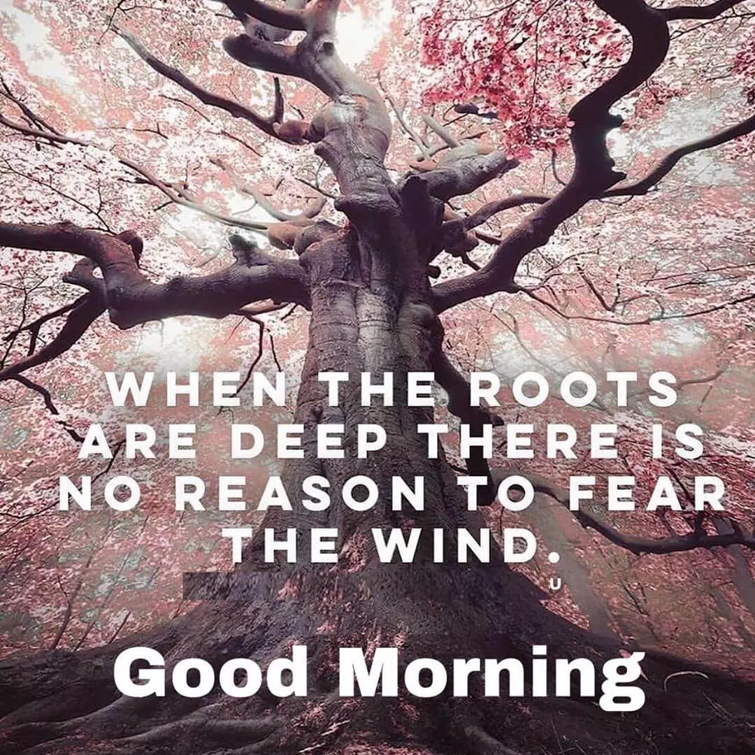 Inspiring Good Morning Quotes for Android - APK Download