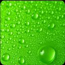 Green Wallpaper HD & 4K APK
