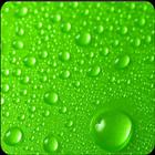 Green Wallpaper HD & 4K 圖標