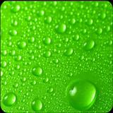 Green Wallpaper HD & 4K آئیکن