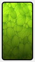 Green Wallpaper HD & 4K 截圖 2