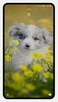 Cute Puppy Wallpaper পোস্টার