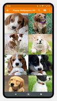 Cute Puppy Wallpaper স্ক্রিনশট 1