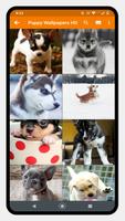 Cute Puppy Wallpaper স্ক্রিনশট 3