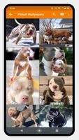 Pitbull Dog Wallpaper screenshot 1