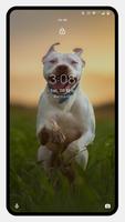 Pitbull Dog Wallpaper screenshot 2