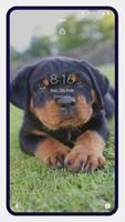 Rottweiler Dog Wallpapers screenshot 2