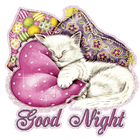 Good Night SMS Messages Msgs ikon