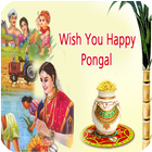 Happy Pongal SMS Messages Msgs icône