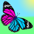 Butterflies on Screen (Prank)